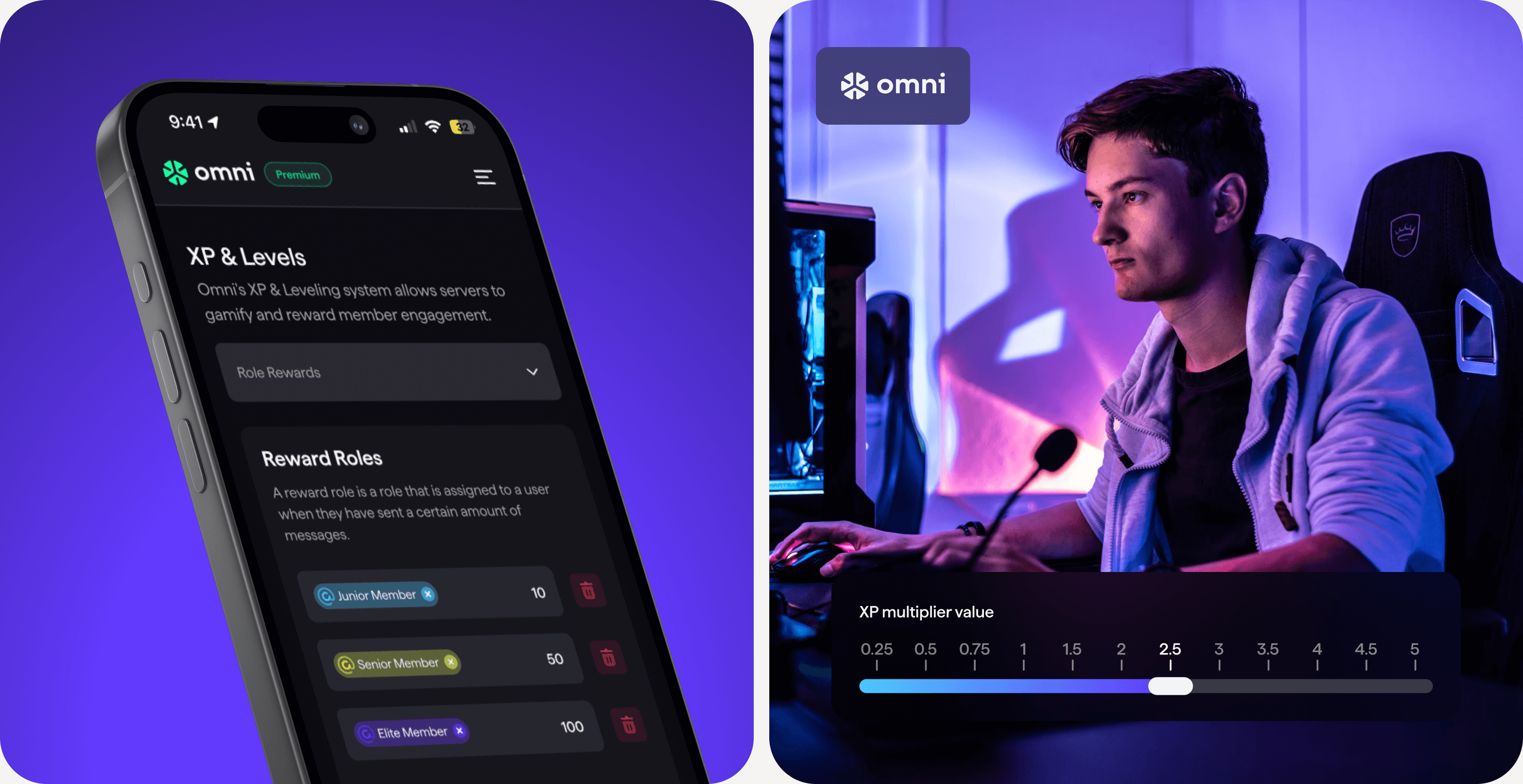13. Goodface agency - case Omni - XP & Levels.png - UX/UI design and development for SaaS solution for Discord app - goodface.agency