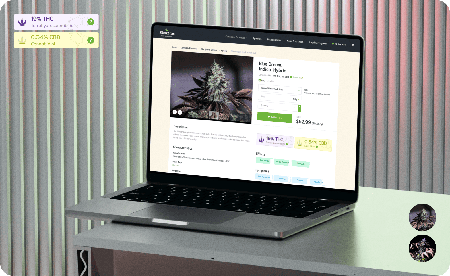 Design for large online store of medical cannabis in the USA - goodface.agency