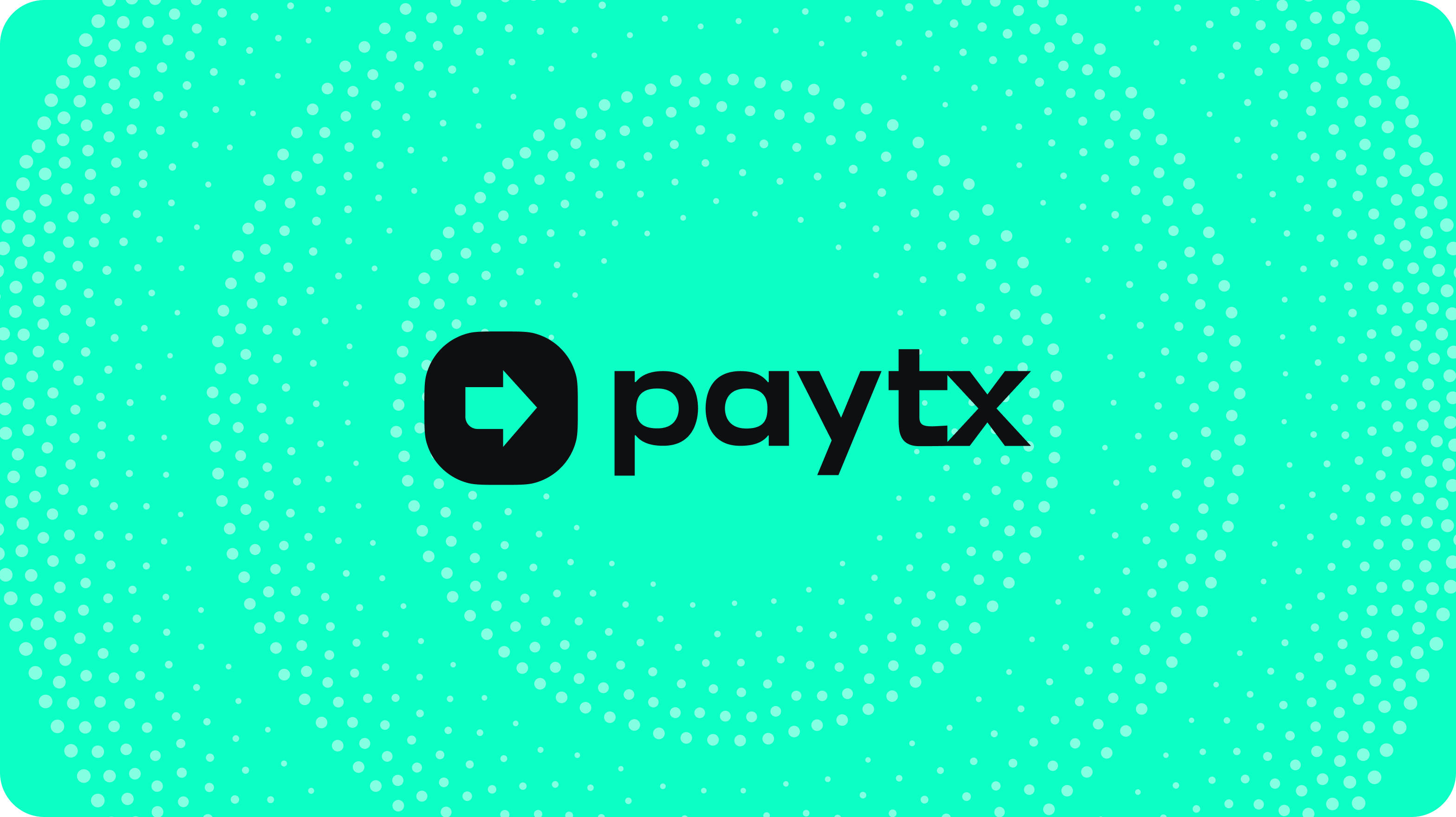 PayTX project: UX/UI Design, website development, logo, brand identity - goodface.agency